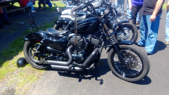 custom harley davidson sportster