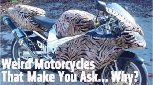 custom motorcycle, harley, harley davidson, motorcycle