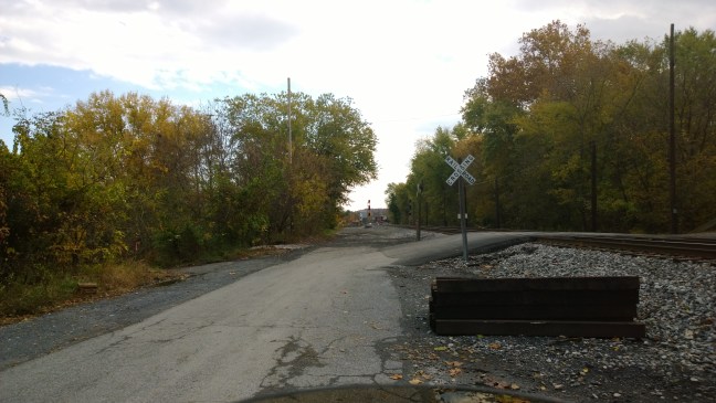 Picture by Warren massey