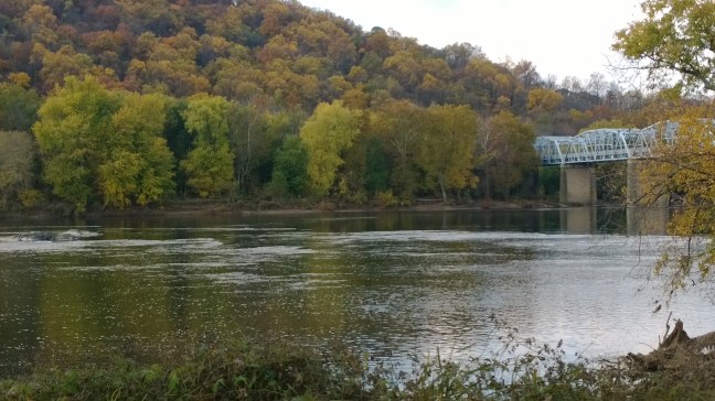 Picture by Warren massey