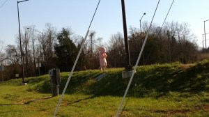 picture by scott massey