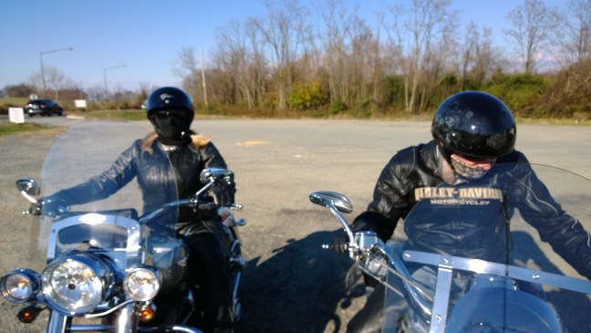 picture by scott massey