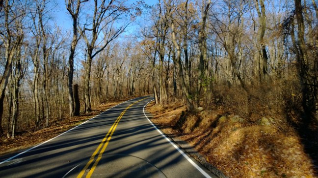 picture by scott massey