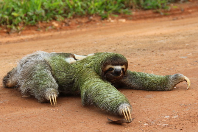 Motorcycle Riding in Paradise; Costa Rica (Guest Post by Jason Mueller)