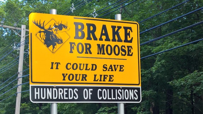 motorcycle vacation new england www.ijustwant2ride.com