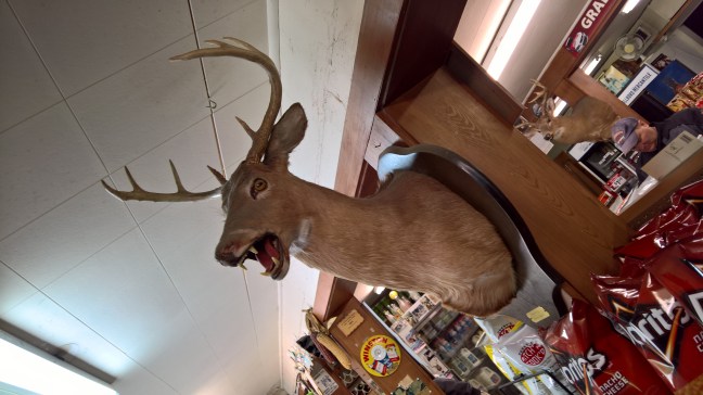 Motorcycle ride Route 39 VA WV