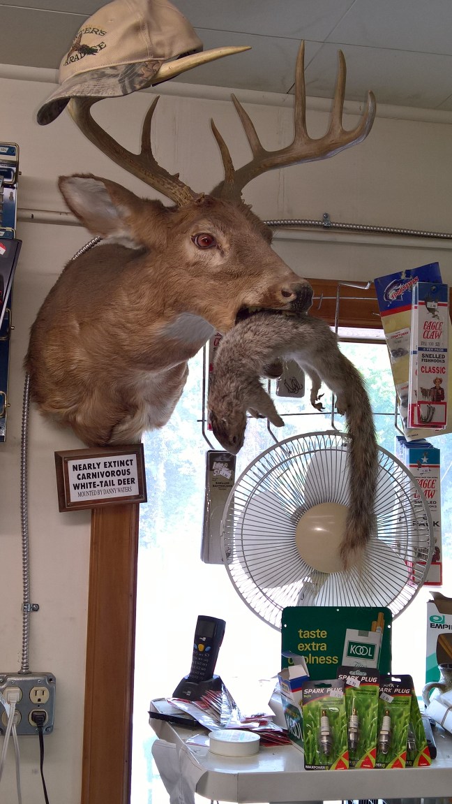 Motorcycle ride Route 39 VA WV