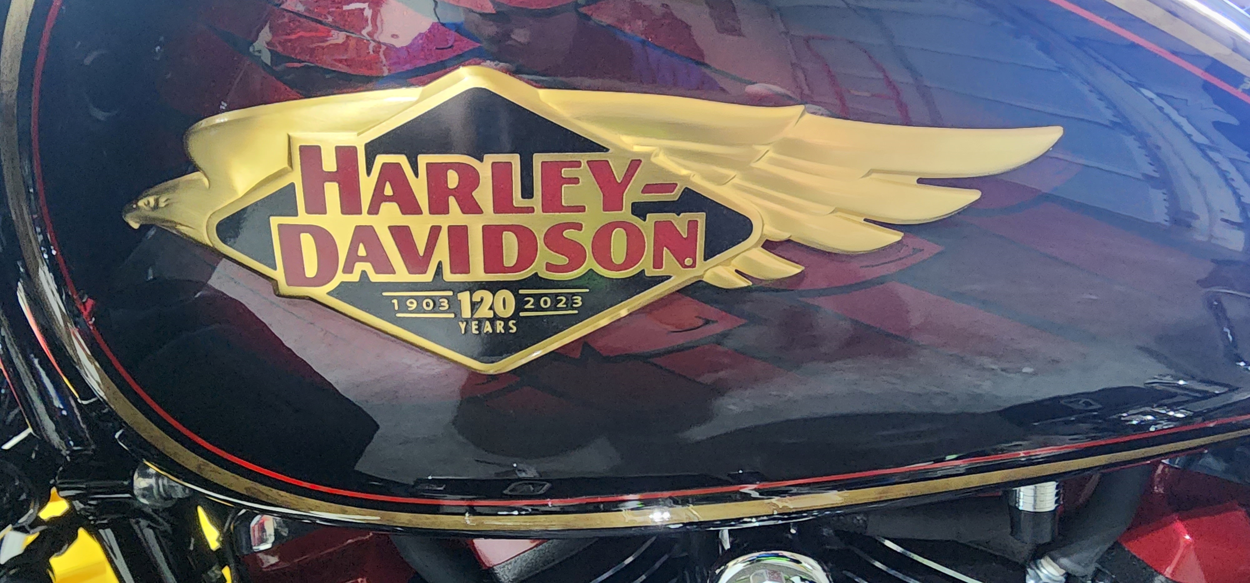 New Motorcycle: Cool or Crazy Decision